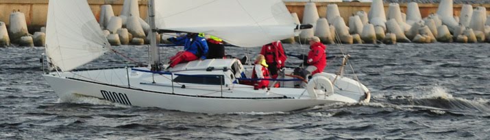 Minni 2009